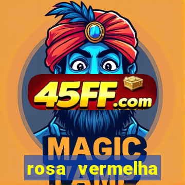 rosa vermelha (letra e cifra)